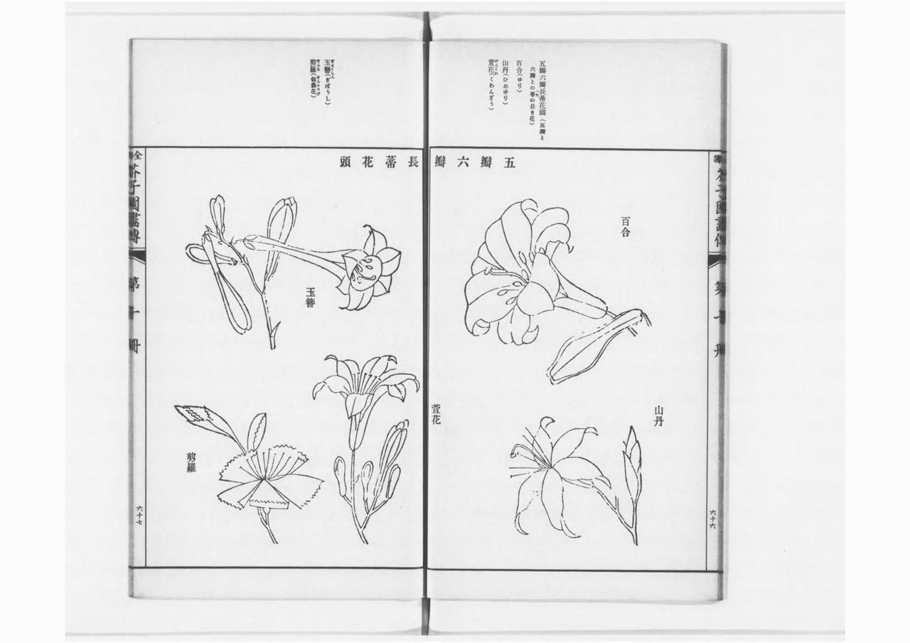 芥子園画伝(かいしえんがでん) 日々雑感